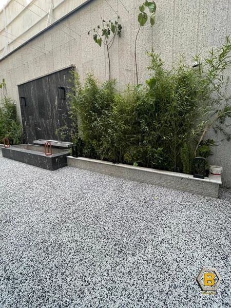 بتنیک