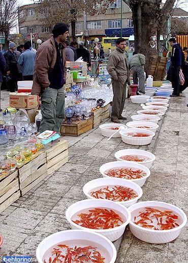 بازار دوم نازی آباد