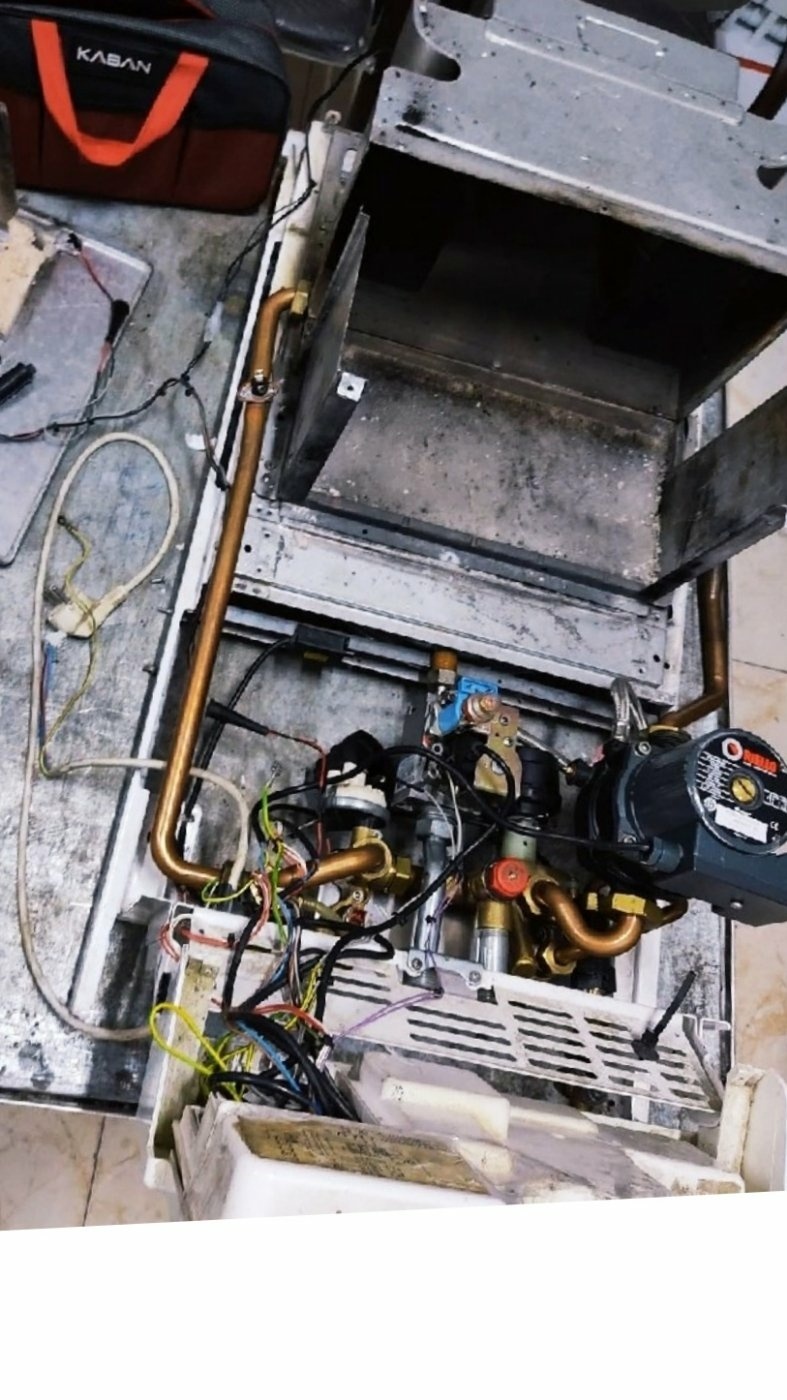 حمید بوستانی چوبانلار