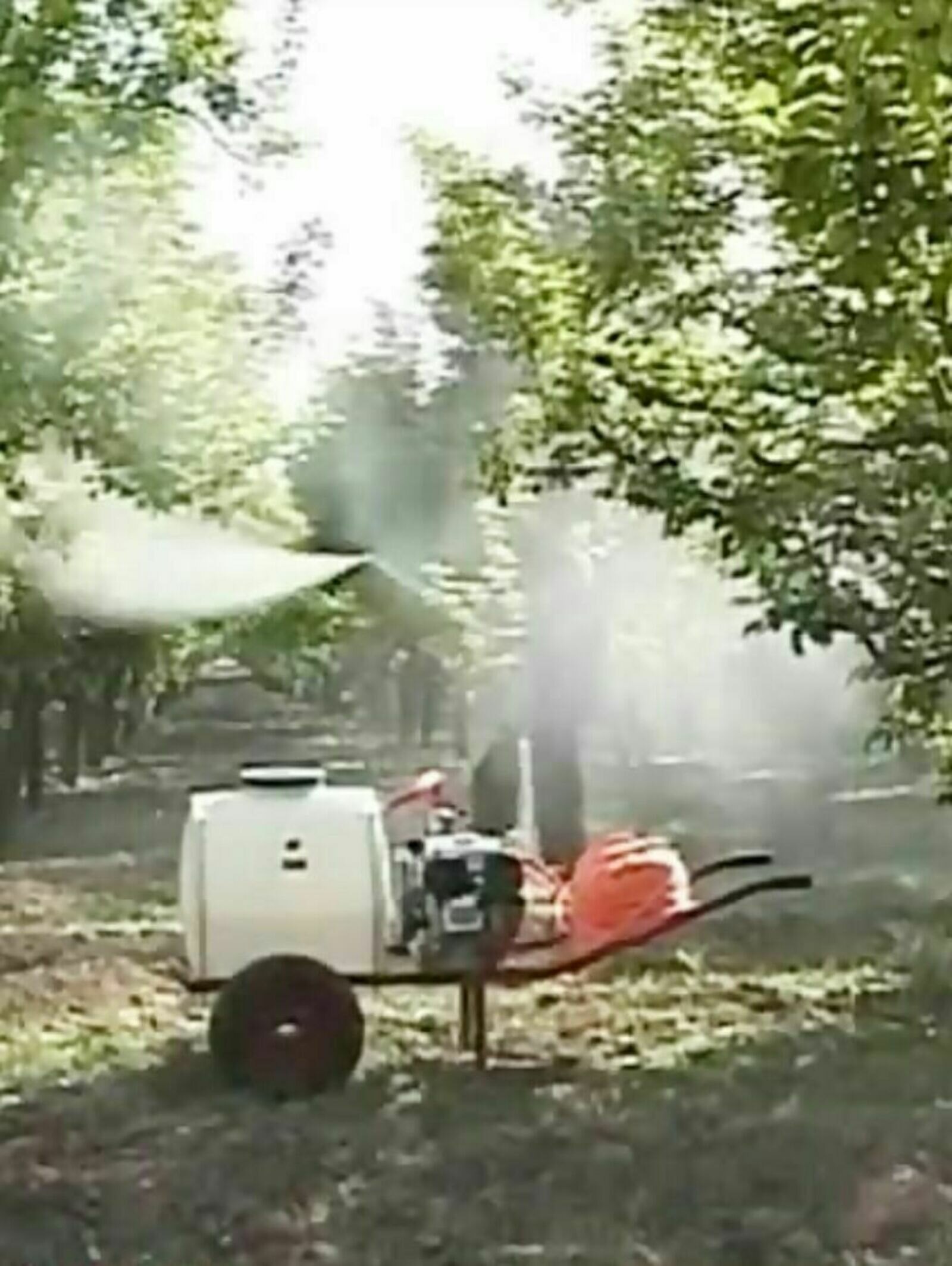 داود نودهانی