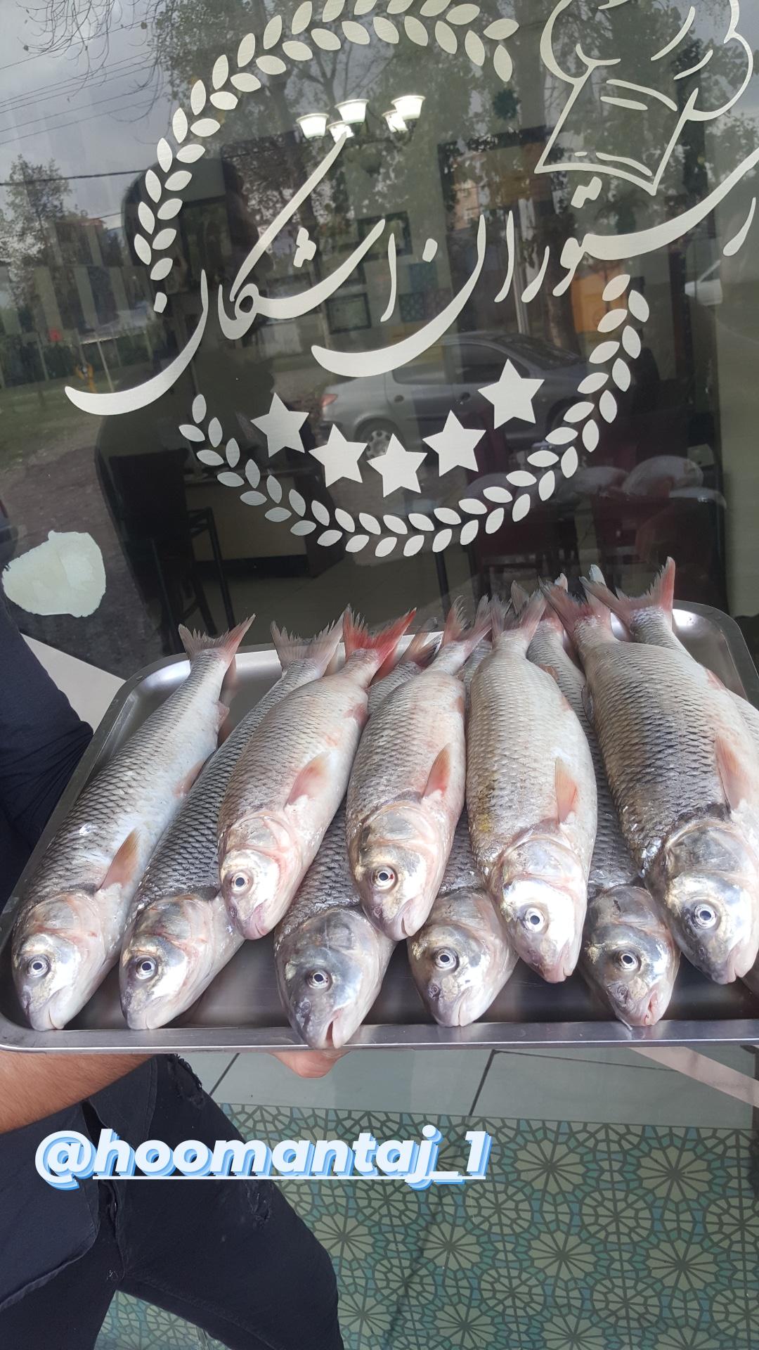 رستوران اشکان