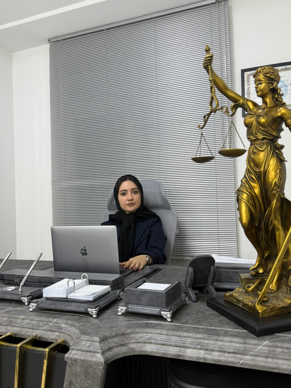 مهنا محمدی وکیل پایه یک دادگستری