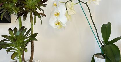 مرکز تخصصی پوست ، مو ، زیبایی و لیزر دکتر صراف