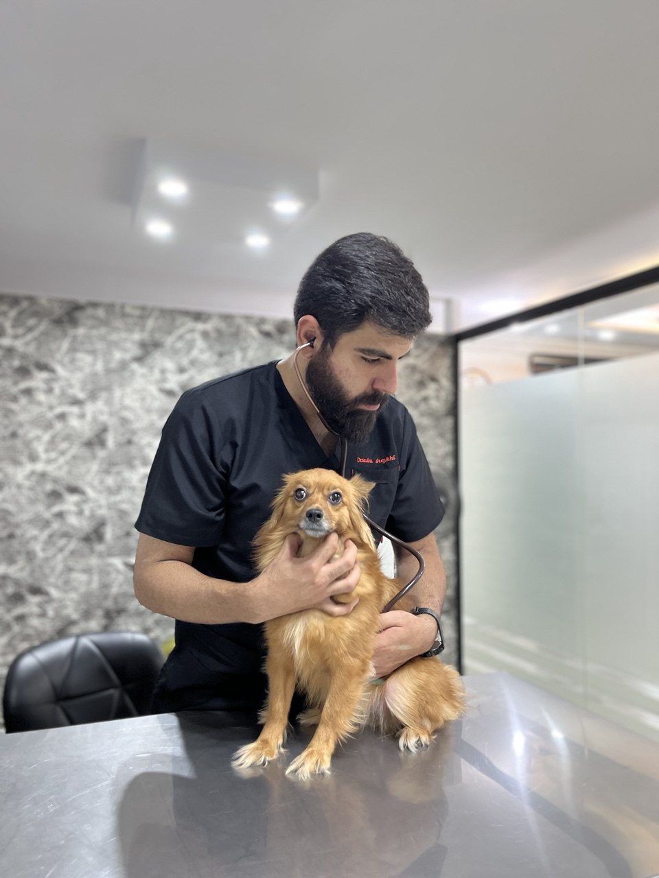 کلینیک دامپزشکی جزیره حیوانات