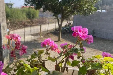 اجاره ویلا جنگلی اسماعیل زاده