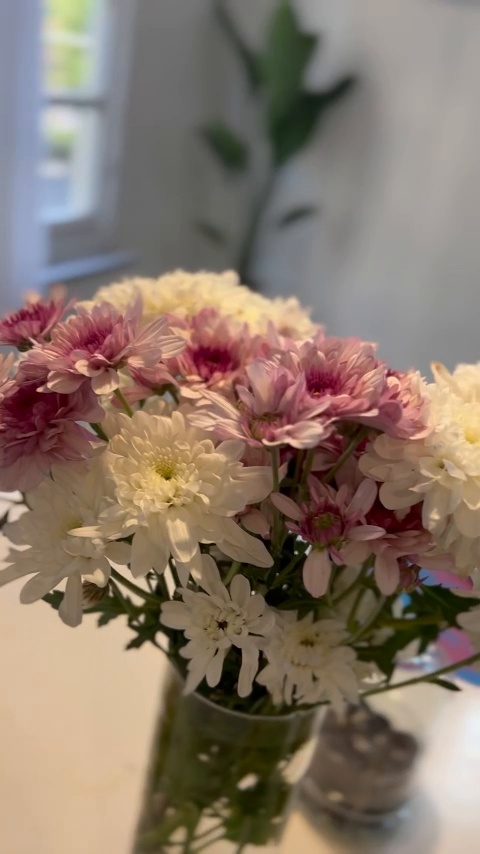 فوگا یوگا