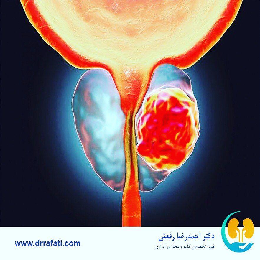 دکتر احمدرضا رفعتی