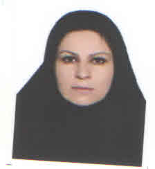 وکیل لیلا نوروزی