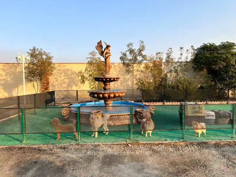 پانسیون سگ والکریا