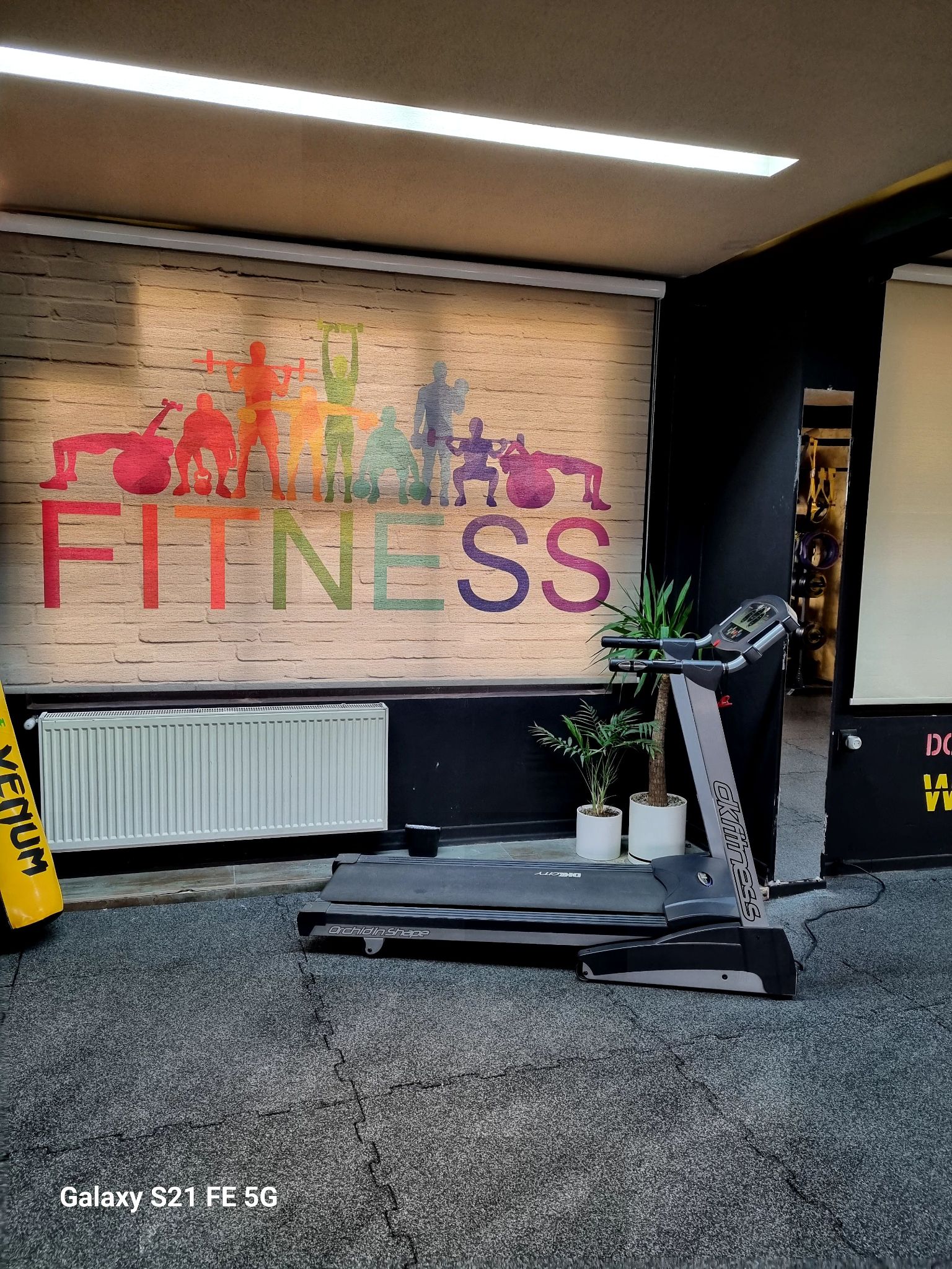 باشگاه ورزشی بانوان الینVIP (اسپینینگ)