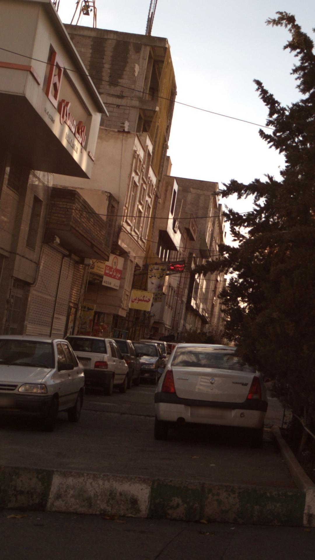 تهیه غذای گل یاس