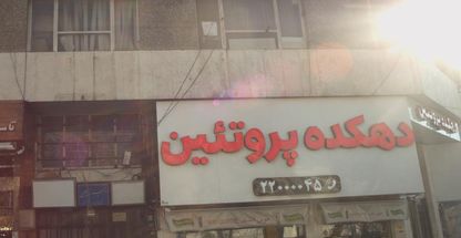 دهکده پروتئین