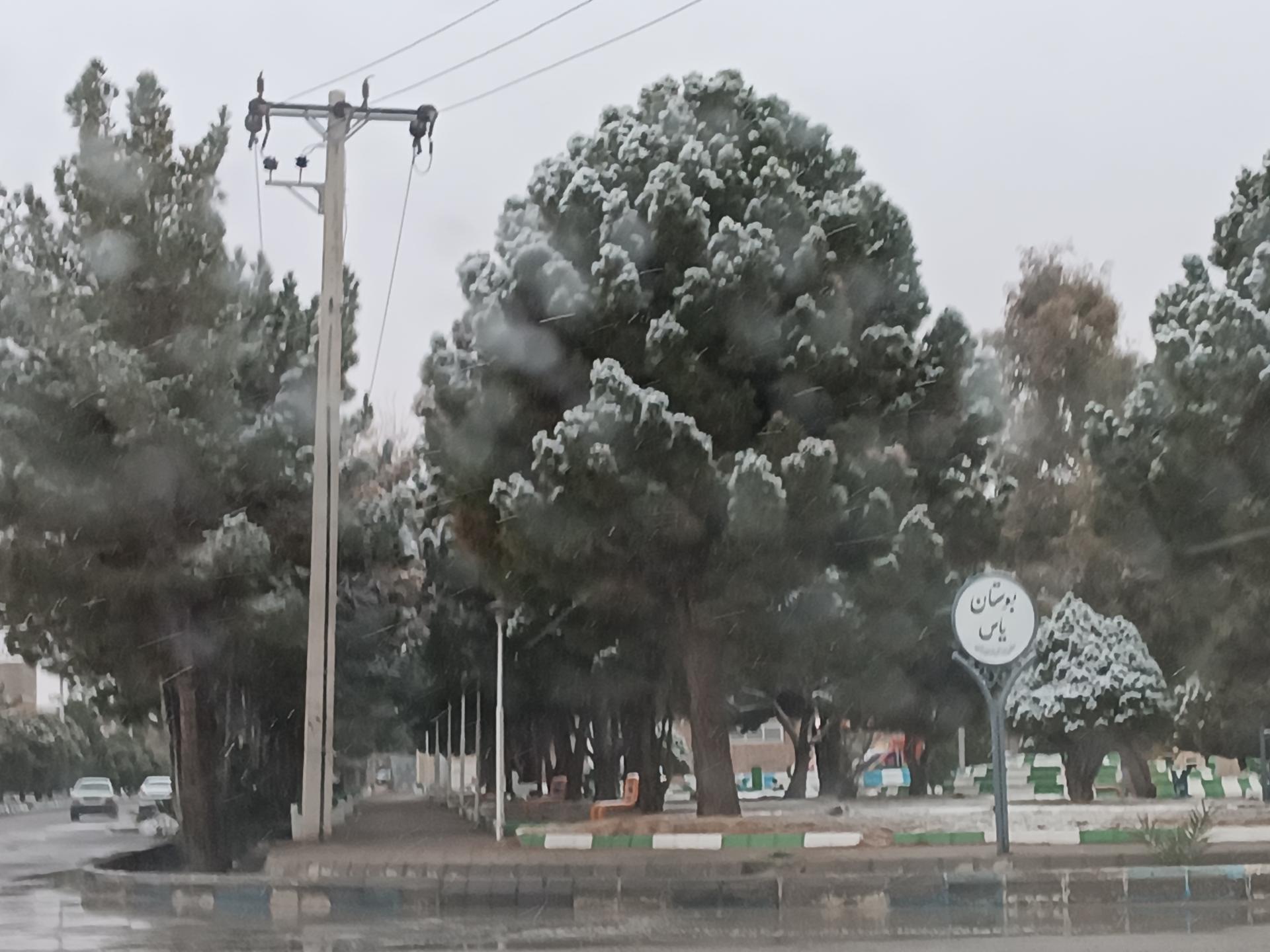 بوستان حرکت
