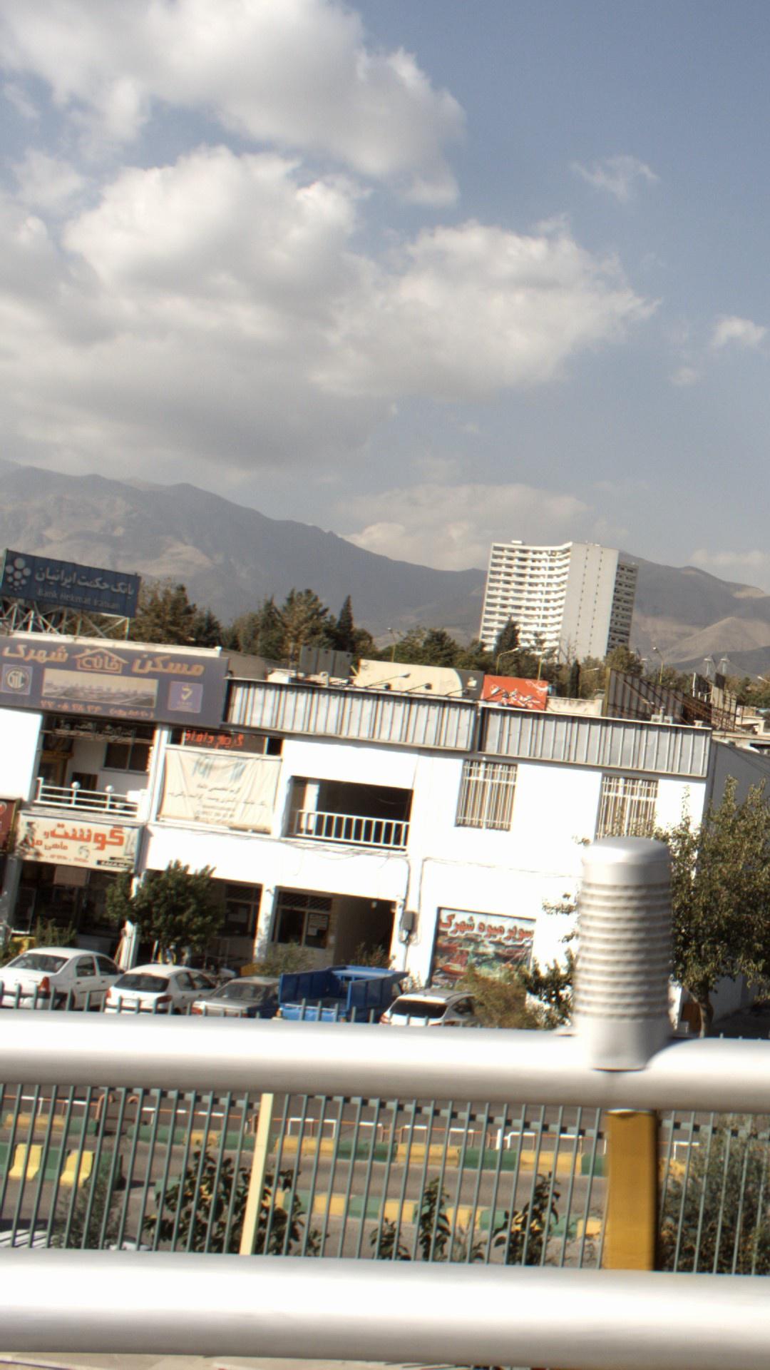 گوشت و ماهی
