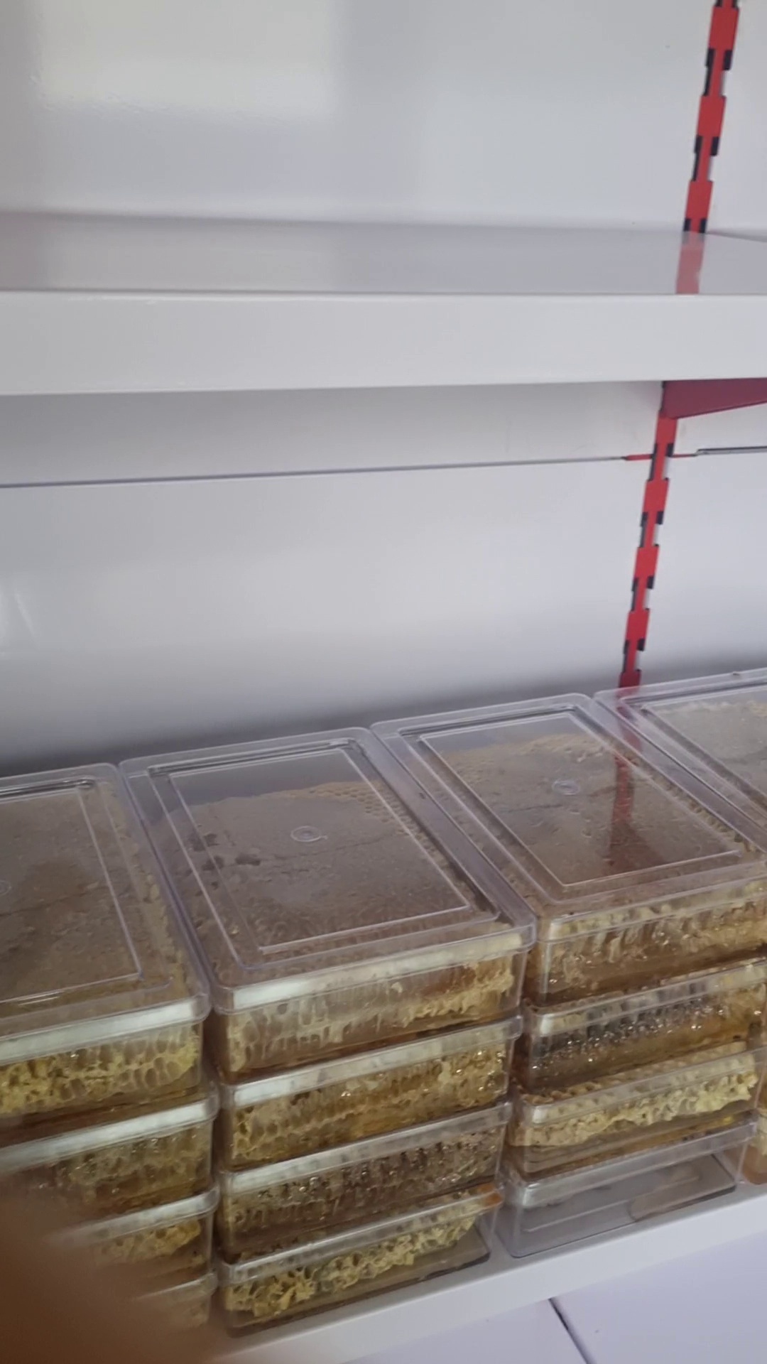 عسل کوهستان میشو