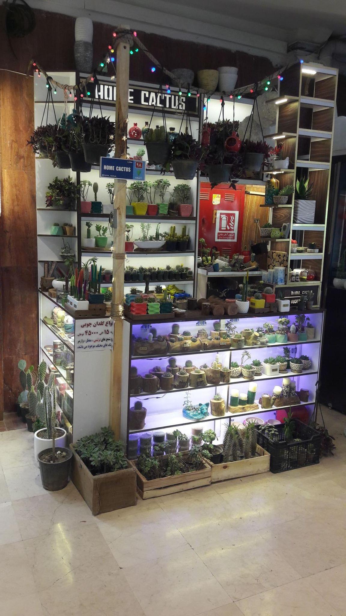 فروشگاه هوم کاکتوس