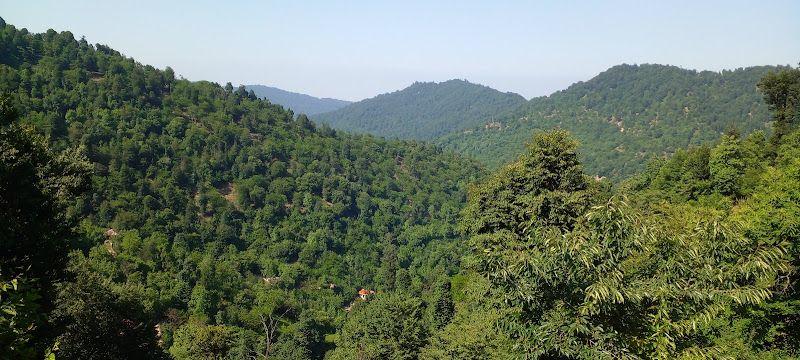 اقامتگاه ویسرود