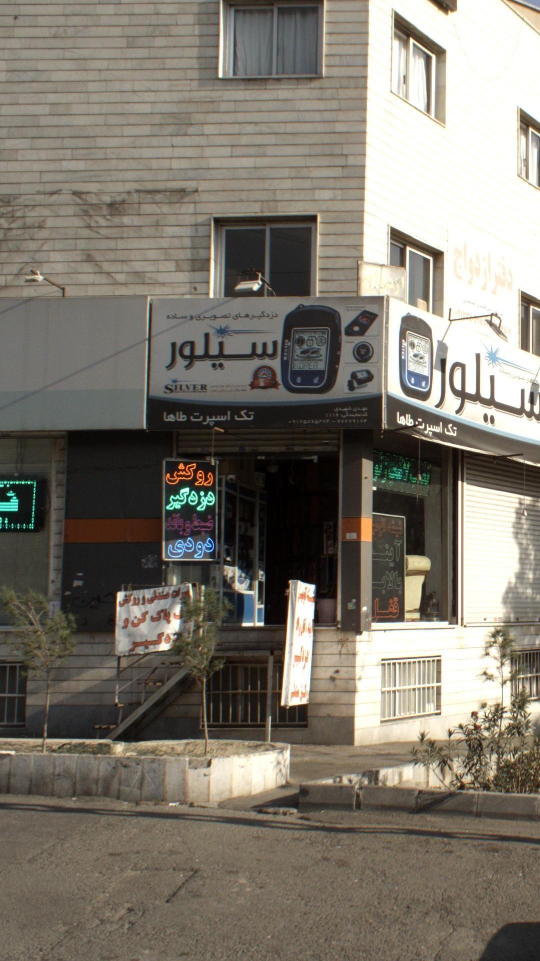 دزد گیرهای تخصویری و ساده  سیلور