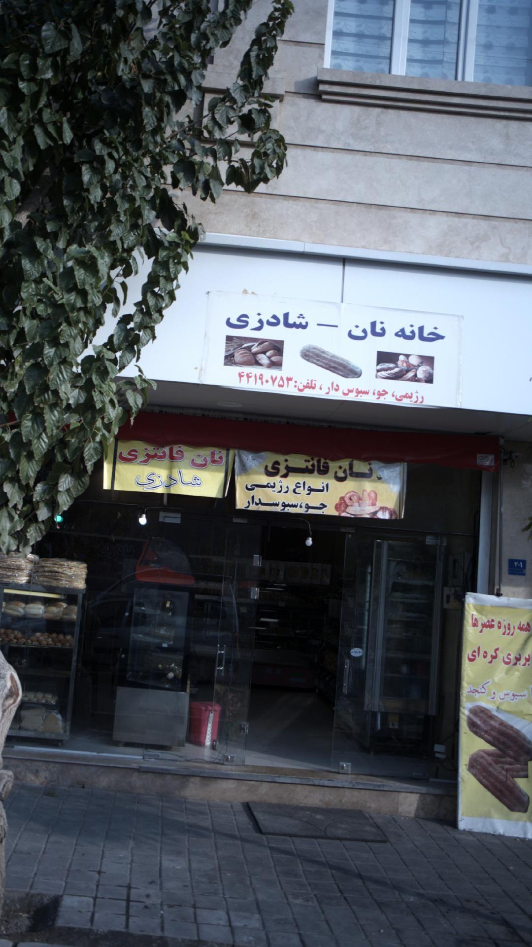 نان فانتزی شادزی