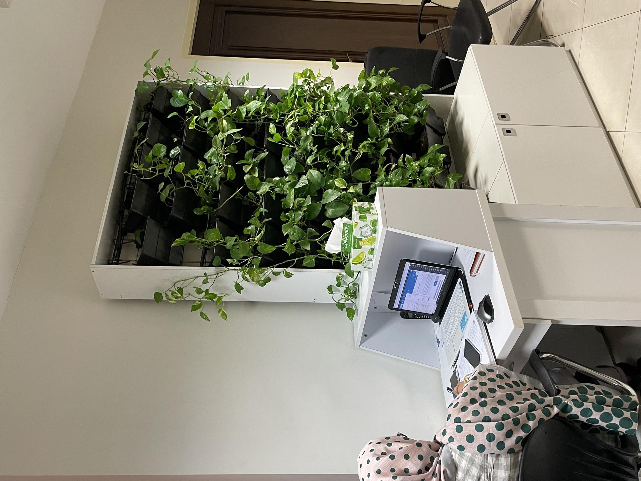 گروه وکلای حق وران