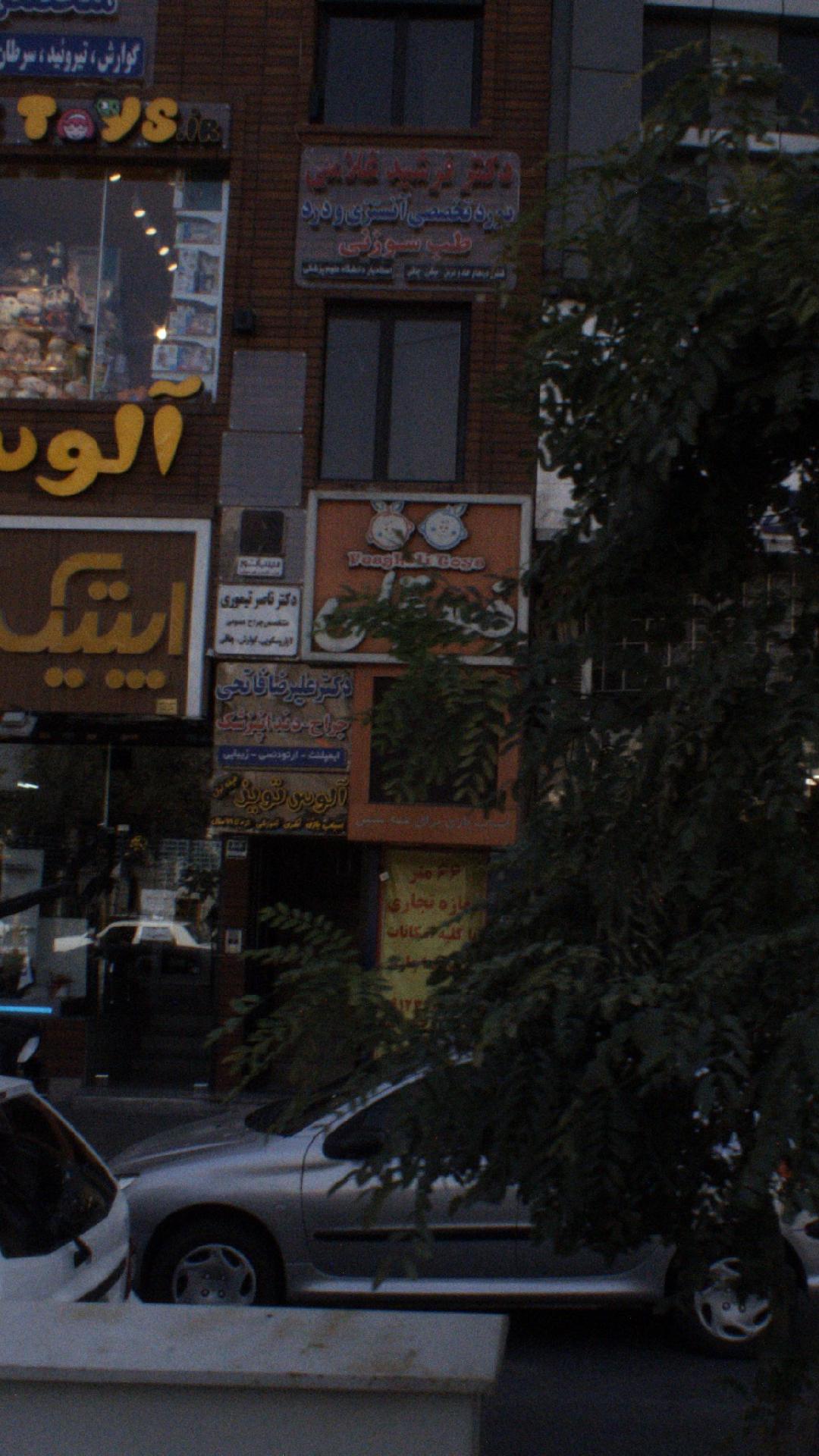 دکتر ناصر تیموری