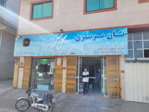نان بربری گل گندم