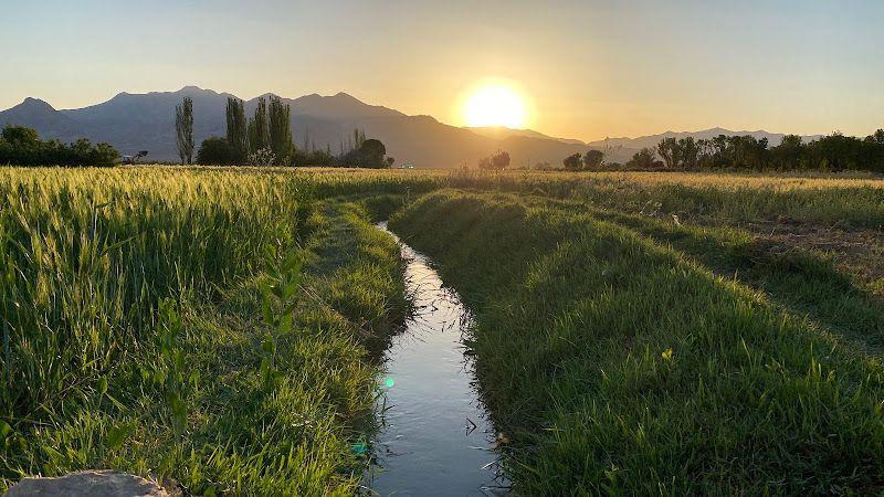 اقامتگاه بوم گردی گیسو بانو
