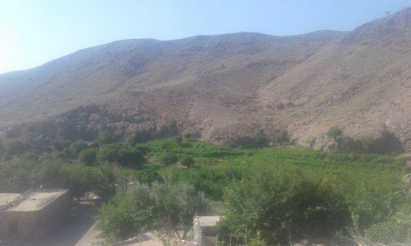 بومگردی عظیم