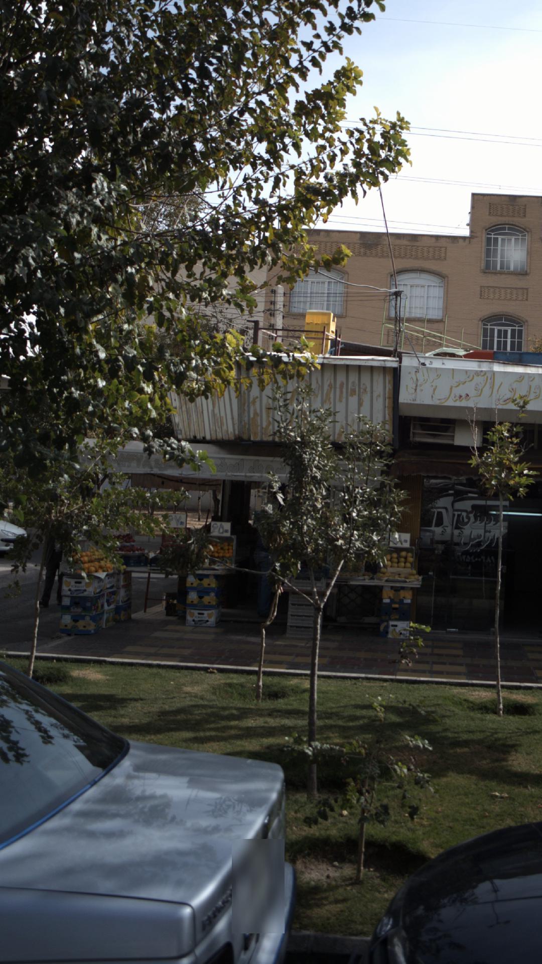 سوپر میوه عباسی