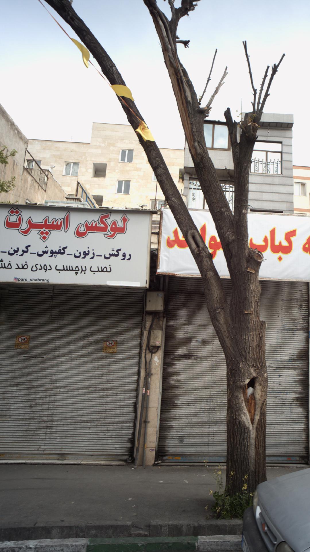 لوکس اسپرت وحید