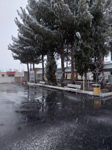 دانشگاه فرهنگیان پردیس باهنر