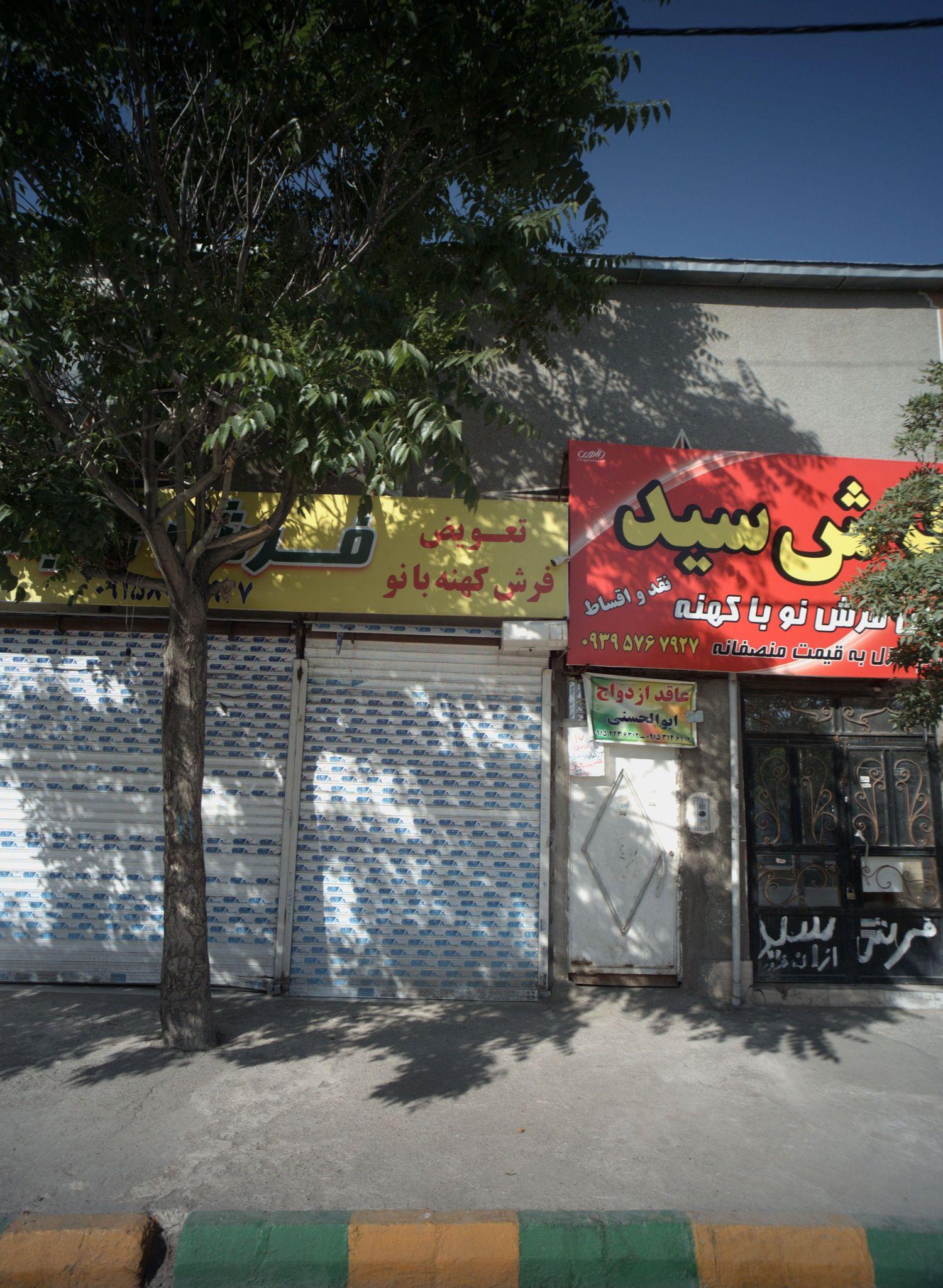 فرش سید