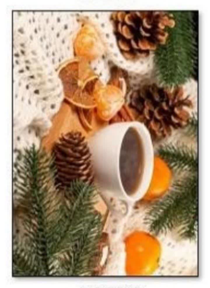 دنیای روتختی  آوین