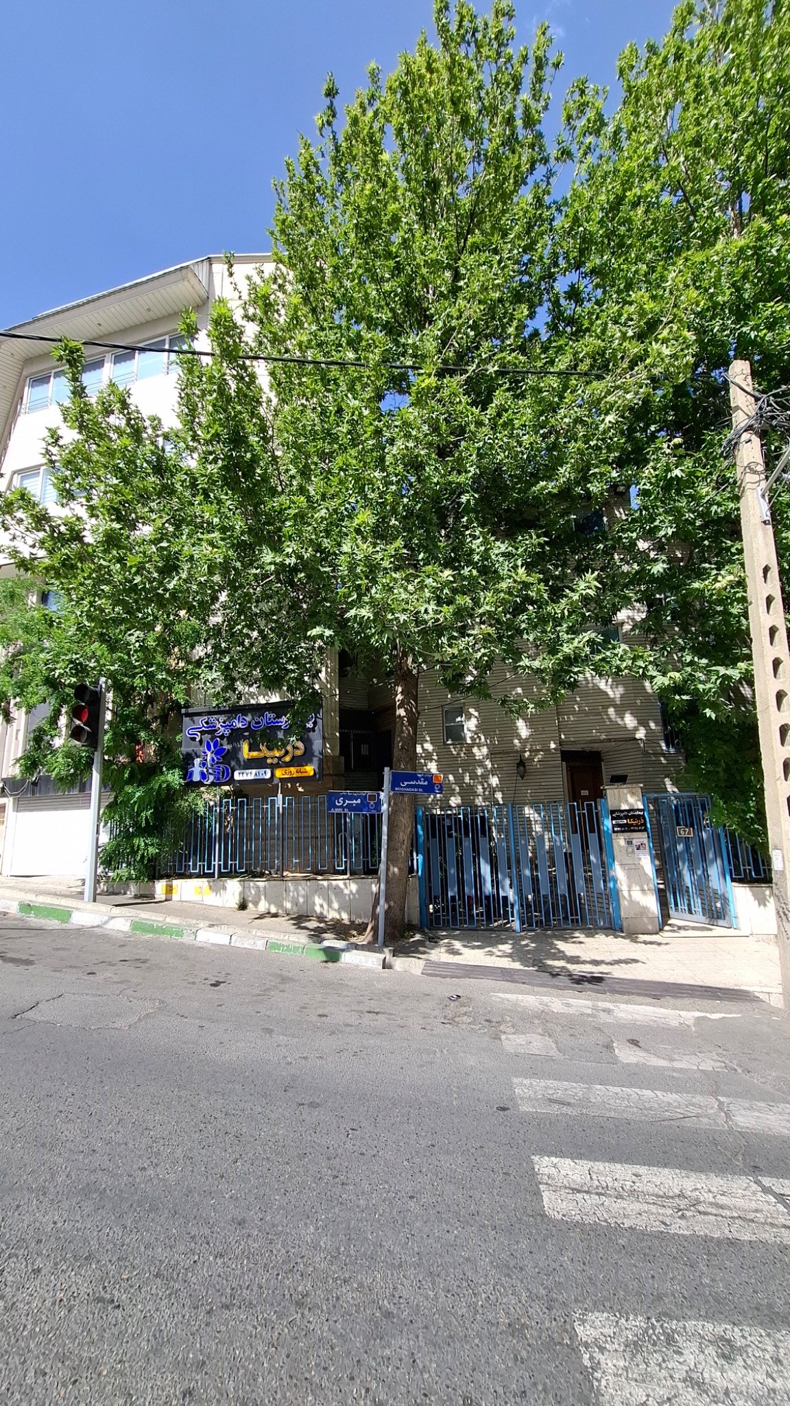 بیمارستان دامپزشکی شبانه روزی درنیکا