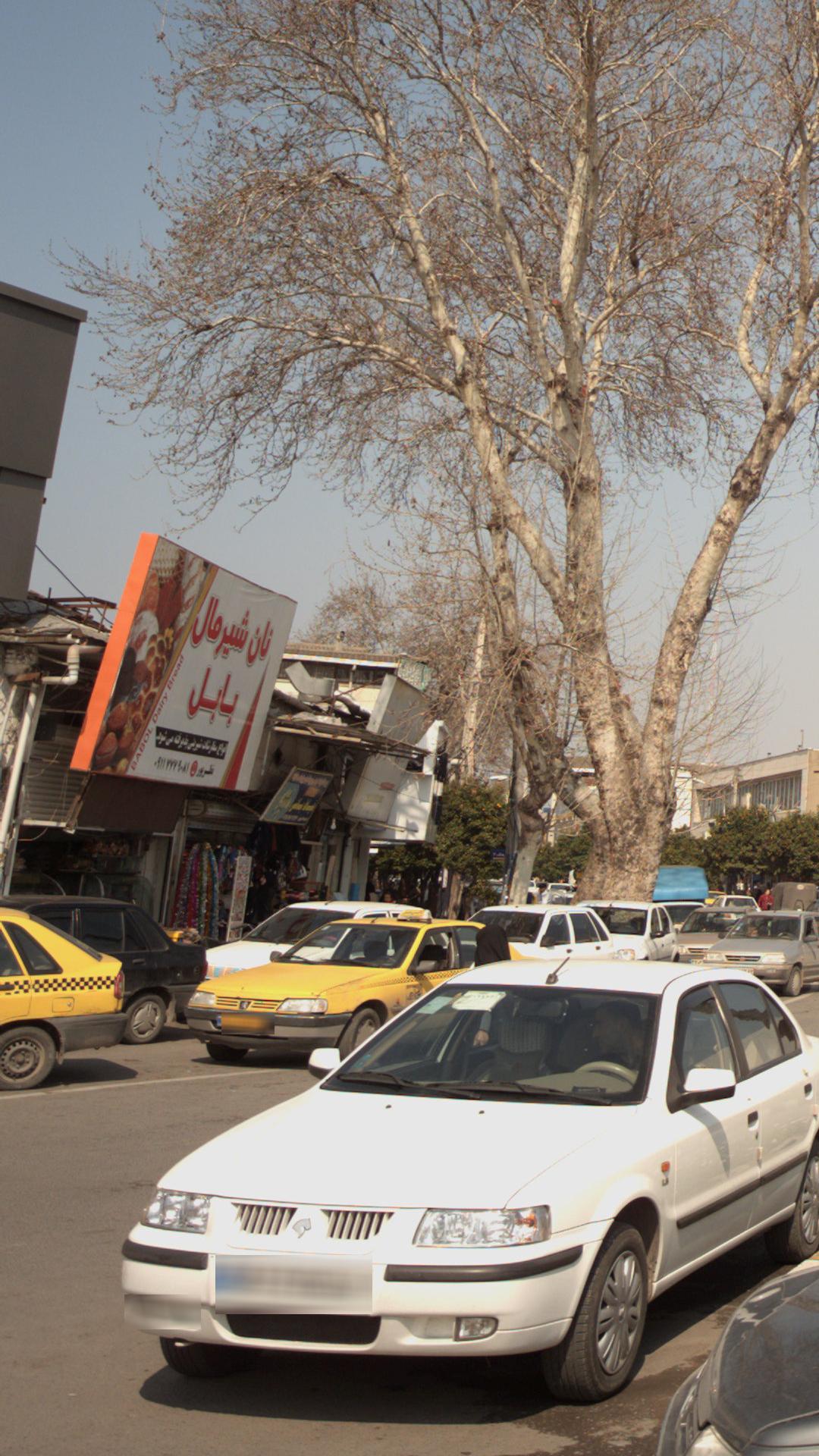 نان شیرمال بابل