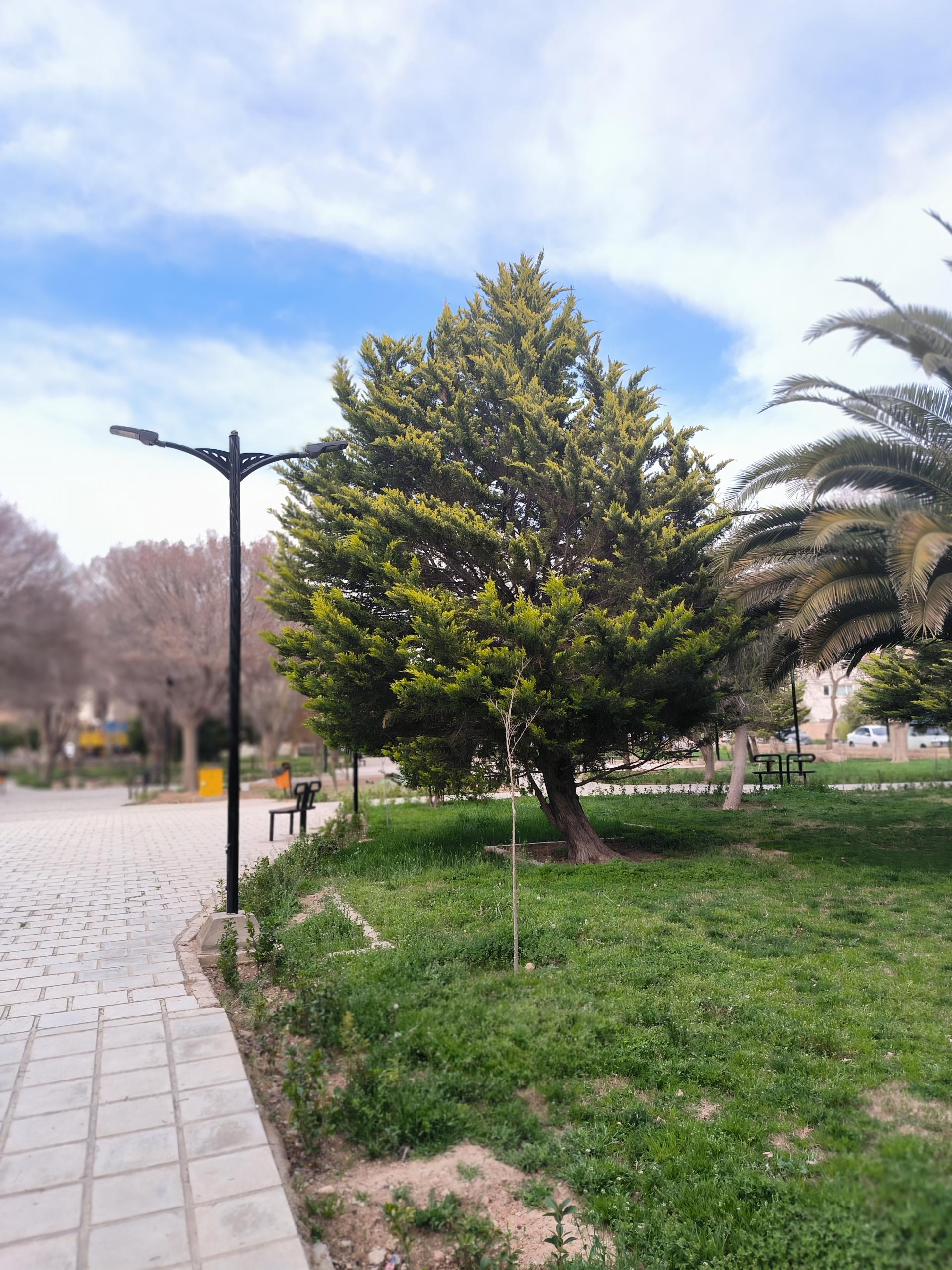 زمین بسکتبال دوحلقه پارک صاحب الامر  درکی 