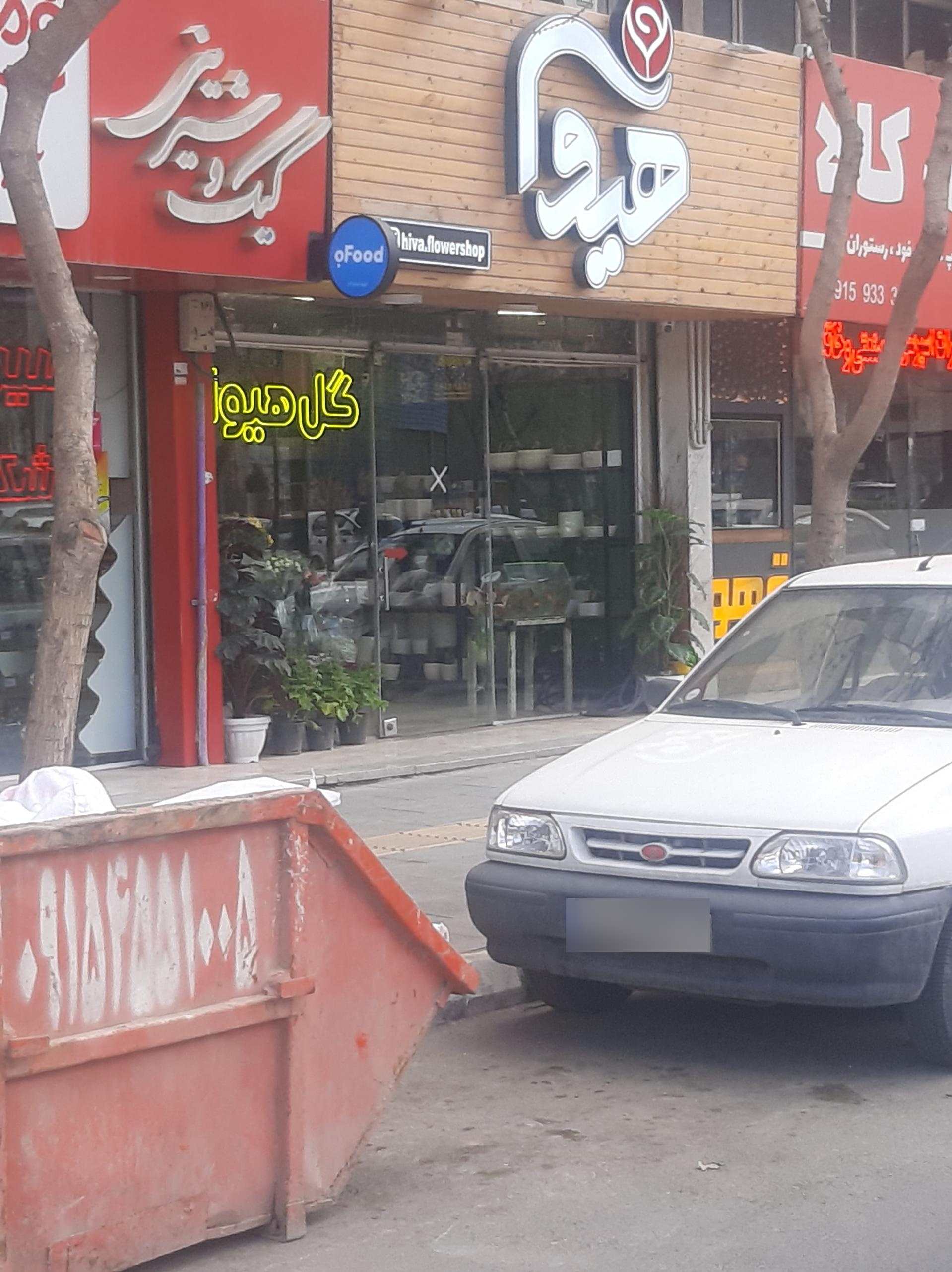 گل مینا