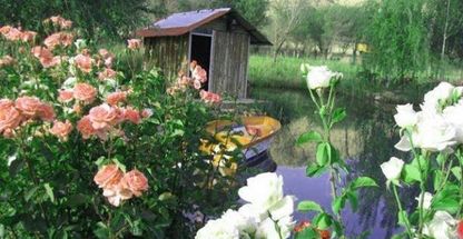 باتلاق گور بهرام