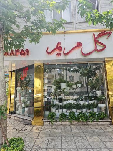 گلفروشی گل مریم