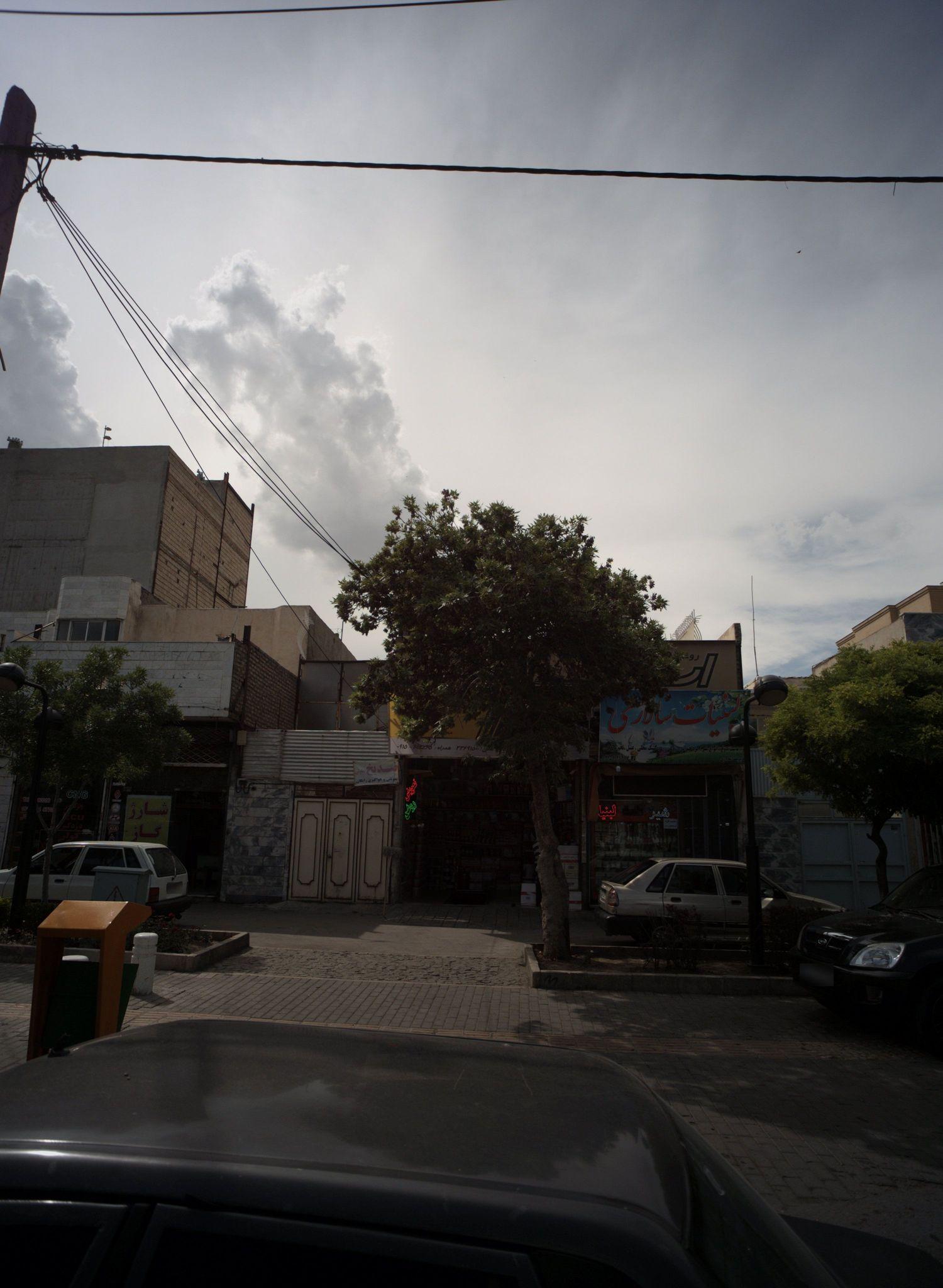 لبنیات سالاری