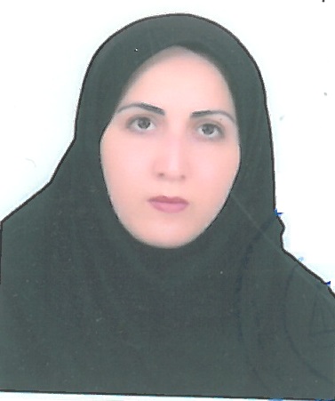 وکیل اشرف ملکی