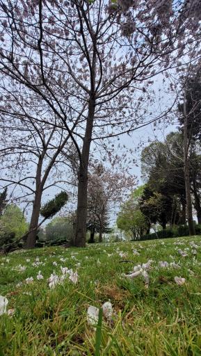 پارک سرای مهر