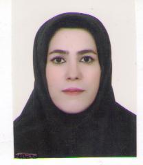 وکیل راضیه صولت تپلو