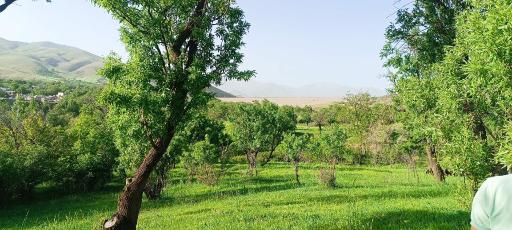 قلعه اردلان (اشتران)