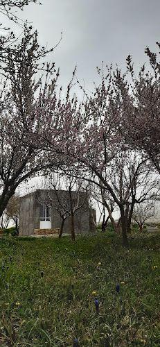 مهمانسرای خانجانی