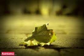 خشکشویی نگین اکباتان