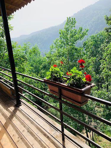 دهگده چوبی سالارپور