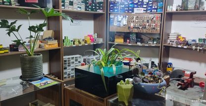 کلید سازی پارسی