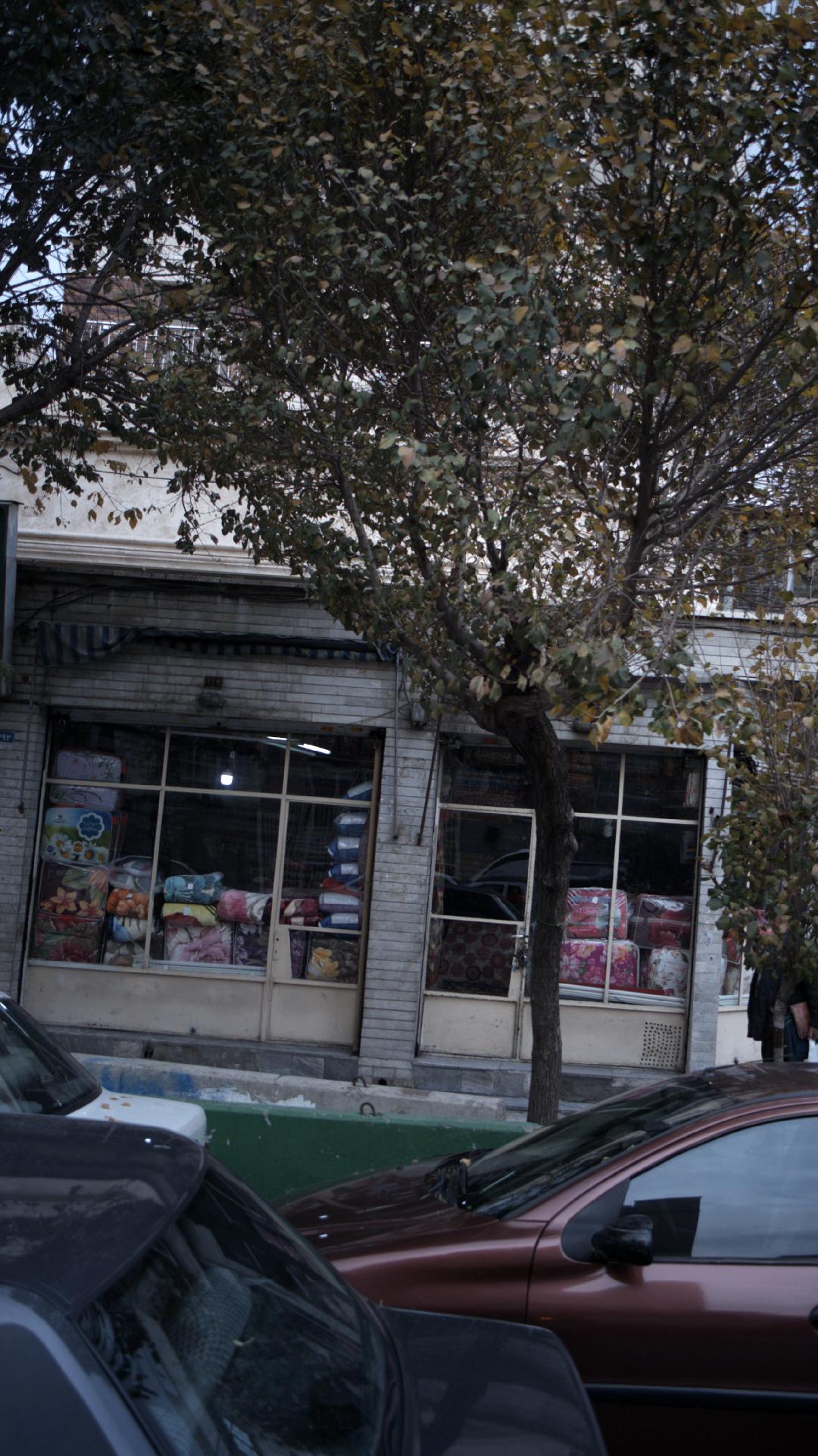 تخت و تشک یزدانی
