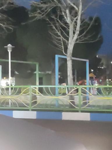 سرویس بهداشتی